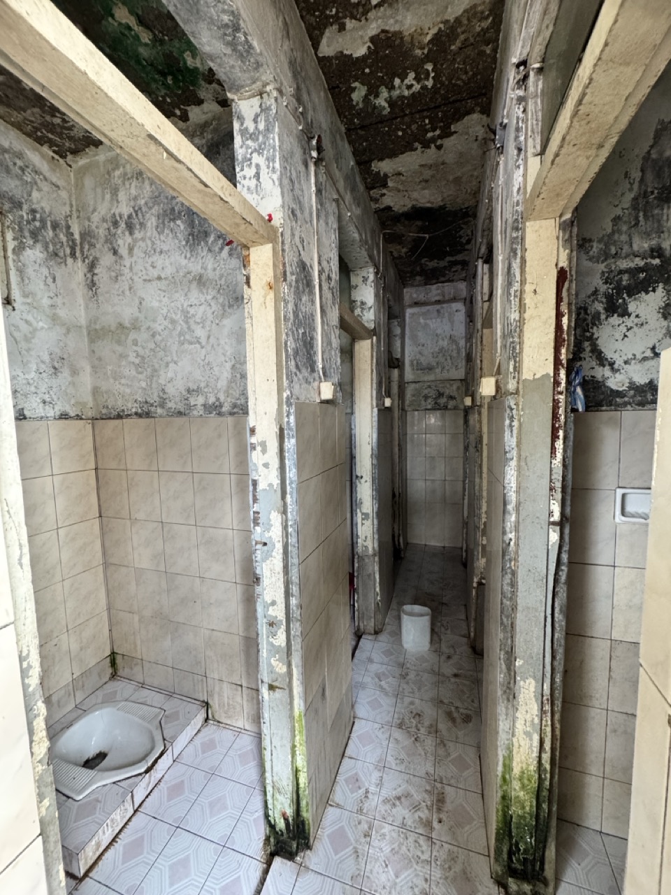 Skutky nadace Satu Hati Charity oceněny regentem okresu TTS